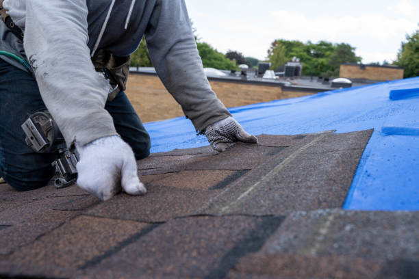 Best Metal Roofing Contractor  in Larksville, PA